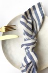 Blue Striped Linen Cloth Napkins