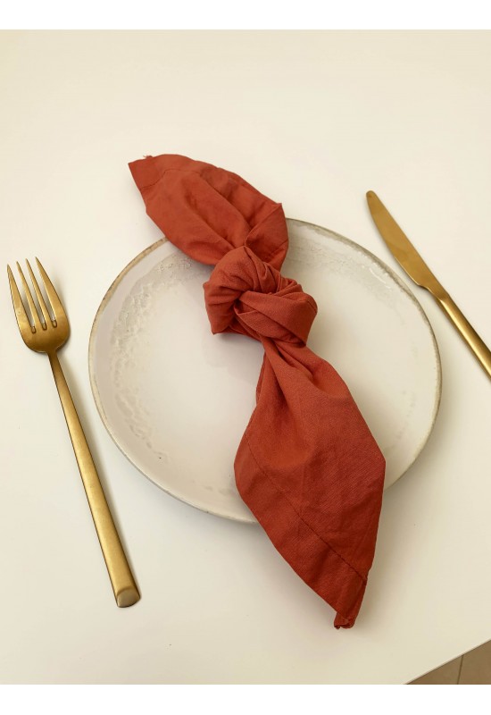 Set of 2 Cotton Napkins, Various Colors and Sizes