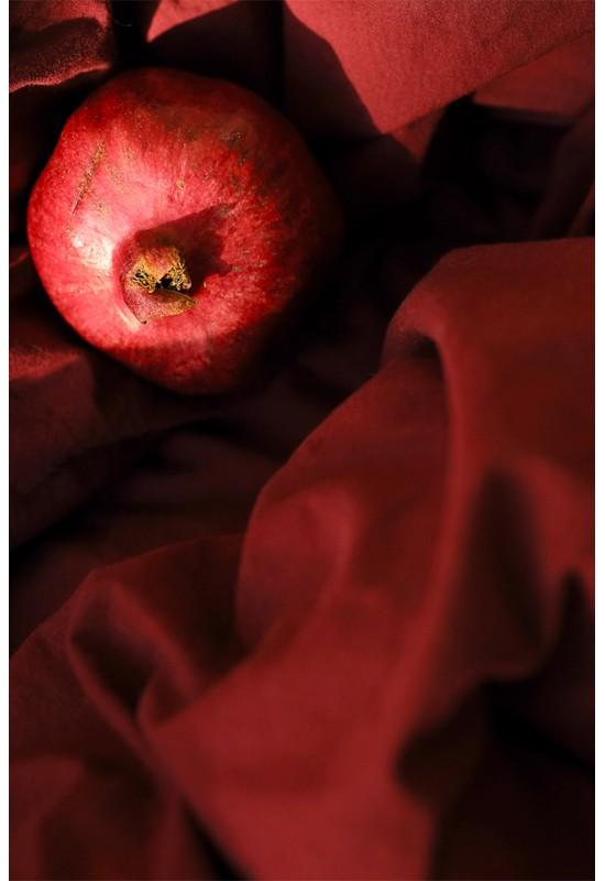 Red wine cotton bedding set