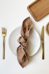 Set of 2 Cotton Napkins in Brown Gold 