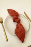 Terracotta cotton napkins Set of 2