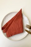 Terracotta cotton napkins Set of 2