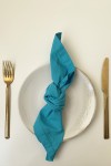 Turquoise Cotton Napkins - Set of 2