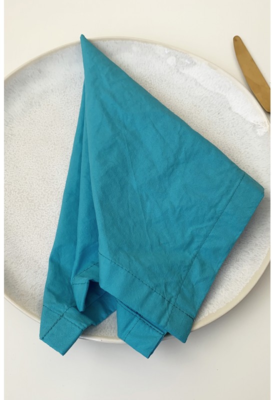 Turquoise Cotton Napkins - Set of 2