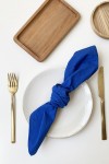 Cotton Napkins Set of 2 Indigo Blue