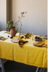 Linen Tablecloths in Various Colors, Sizes